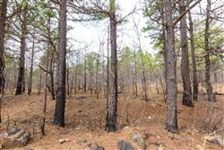 property photo for Stone Bridge Phase III Tract 175, 10.78 acres for sale in LatimerHaskell County, Oklahoma