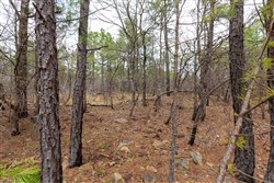 property photo for Stone Bridge Phase III Tract 175, 10.78 acres for sale in LatimerHaskell County, Oklahoma