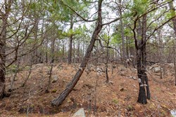 property photo for Stone Bridge Phase III Tract 175, 10.78 acres for sale in LatimerHaskell County, Oklahoma