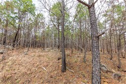 property photo for Stone Bridge Phase III Tract 175, 10.78 acres for sale in LatimerHaskell County, Oklahoma