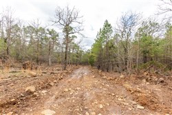 Stone Bridge Phase III Tract 176