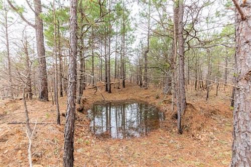 Stone Bridge Phase III Tract 176