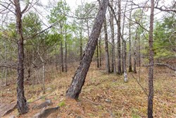 Stone Bridge Phase III Tract 176