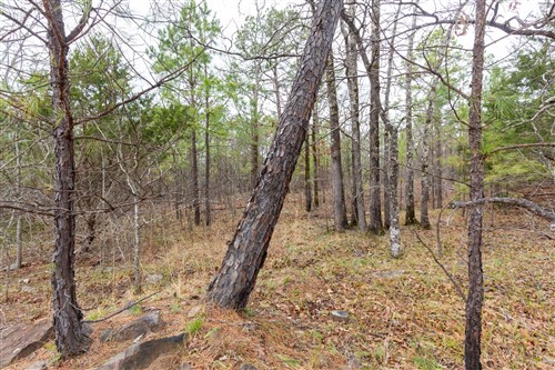 Stone Bridge Phase III Tract 176