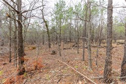 Stone Bridge Phase III Tract 176