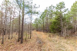 Stone Bridge Phase III Tract 176
