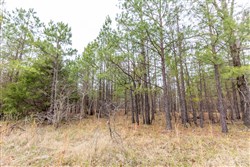 Stone Bridge Phase III Tract 176