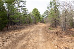 Stone Bridge Phase III Tract 181