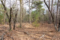 Stone Bridge Phase III Tract 181