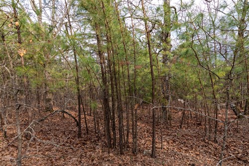 Stone Bridge Phase III Tract 181