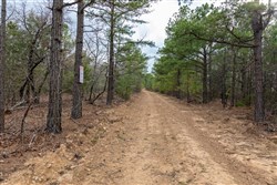 Stone Bridge Phase III Tract 181