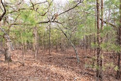 Stone Bridge Phase III Tract 181