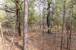 Stone Bridge Phase III Tract 181