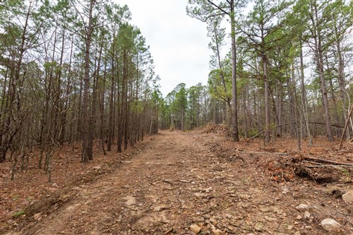 Stone Bridge Phase III Tract 189