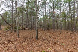 Stone Bridge Phase III Tract 189