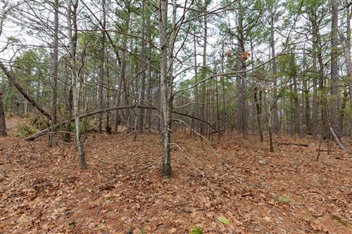 Stone Bridge Phase III Tract 189