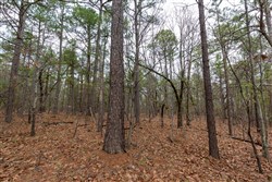 Stone Bridge Phase III Tract 189