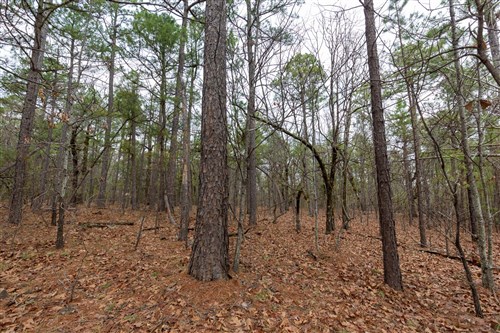 Stone Bridge Phase III Tract 189