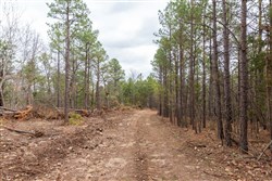Stone Bridge Phase III Tract 189