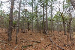 Stone Bridge Phase III Tract 189