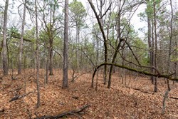 Stone Bridge Phase III Tract 189