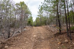 Stone Bridge Phase III Tract 192
