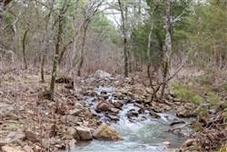 Stone Bridge Phase III Tract 192