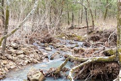 Stone Bridge Phase III Tract 192