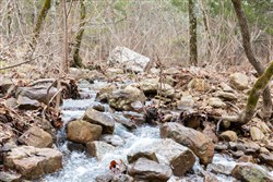 Stone Bridge Phase III Tract 192