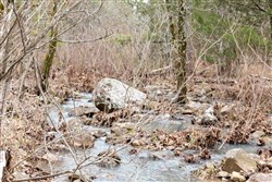 Stone Bridge Phase III Tract 192
