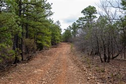 Stone Bridge Phase III Tract 193