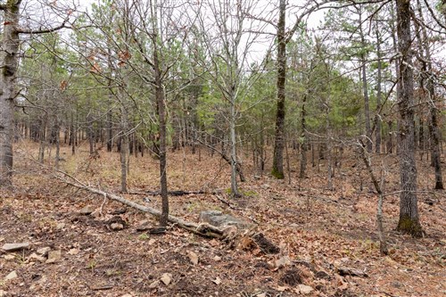 Stone Bridge Phase III Tract 193