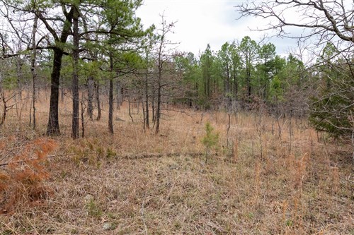 Stone Bridge Phase III Tract 193