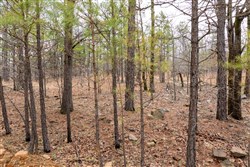 Stone Bridge Phase III Tract 193
