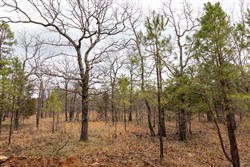 Stone Bridge Phase III Tract 193