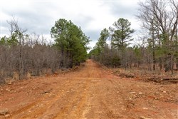 Stone Bridge Phase III Tract 194