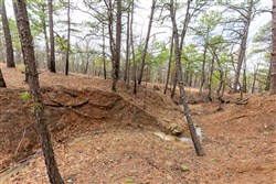 Stone Bridge Phase III Tract 194