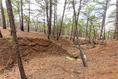 Stone Bridge Phase III Tract 194