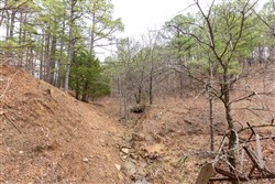 Stone Bridge Phase III Tract 194