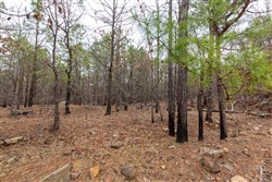 Stone Bridge Phase III Tract 194