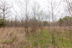 Stone Bridge Phase III Tract 194