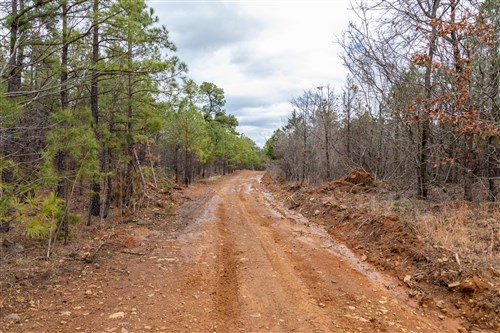 Stone Bridge Phase III Tract 195