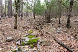Stone Bridge Phase III Tract 195