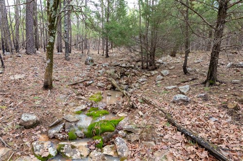 Stone Bridge Phase III Tract 195