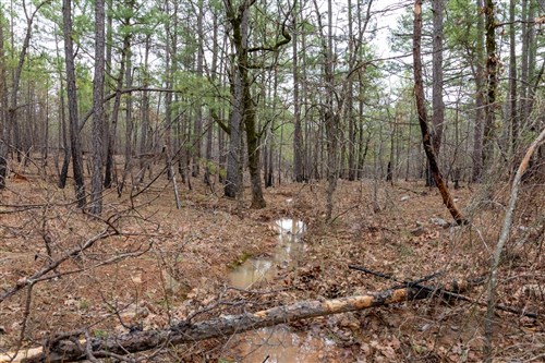 Stone Bridge Phase III Tract 195