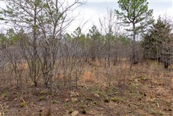 Stone Bridge Phase III Tract 195