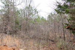 Stone Bridge Phase III Tract 195