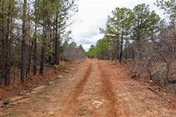 Stone Bridge Phase III Tract 196