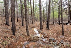 Stone Bridge Phase III Tract 196