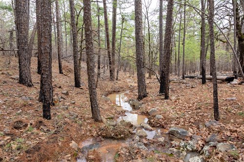 Stone Bridge Phase III Tract 196